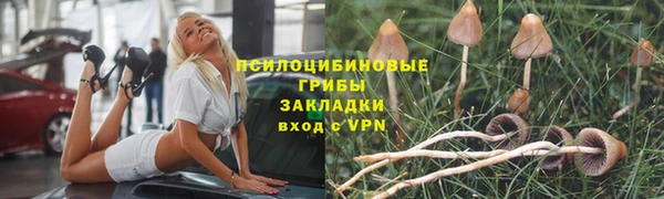дурь Алзамай