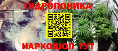 прущая мука Гай