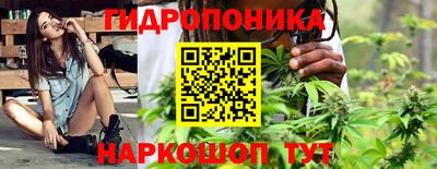 прущая мука Гатчина