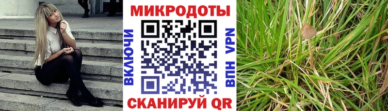 Галлюциногенные грибы мицелий  Красноармейск 