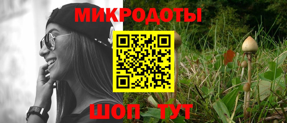 где продают наркотики  Вход с VPN  Красноармейск  Псилоцибиновые грибы Cubensis 