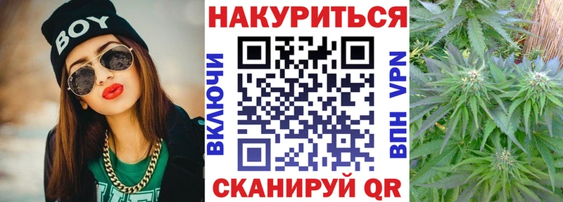 Бошки марихуана ГИДРОПОН  где купить наркоту  Красноармейск 