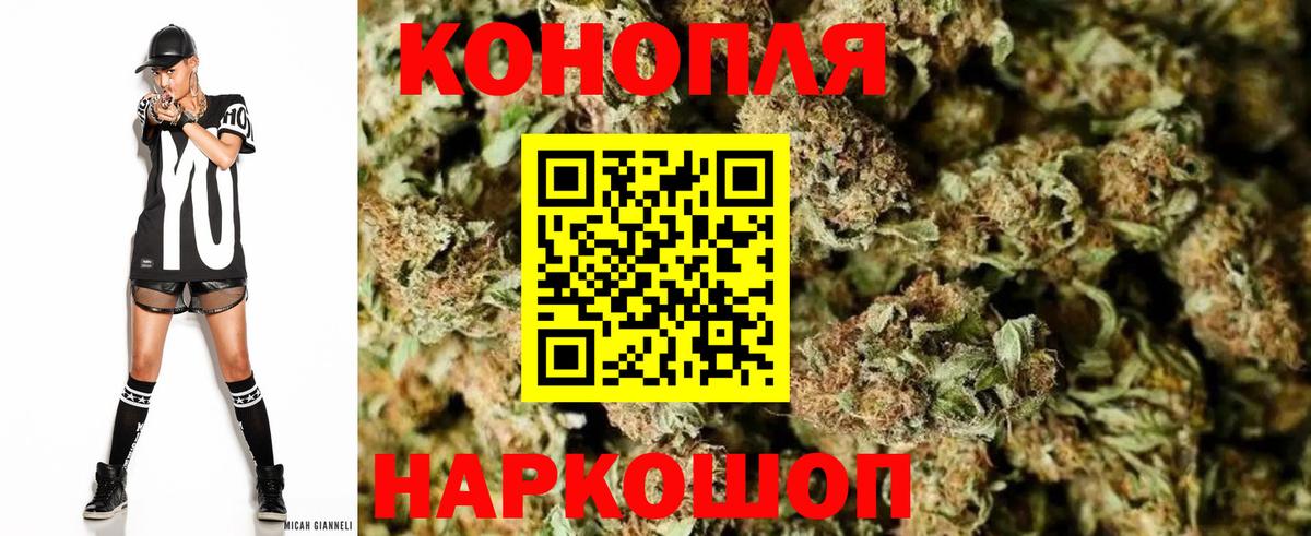 Марихуана сатива Красноармейск